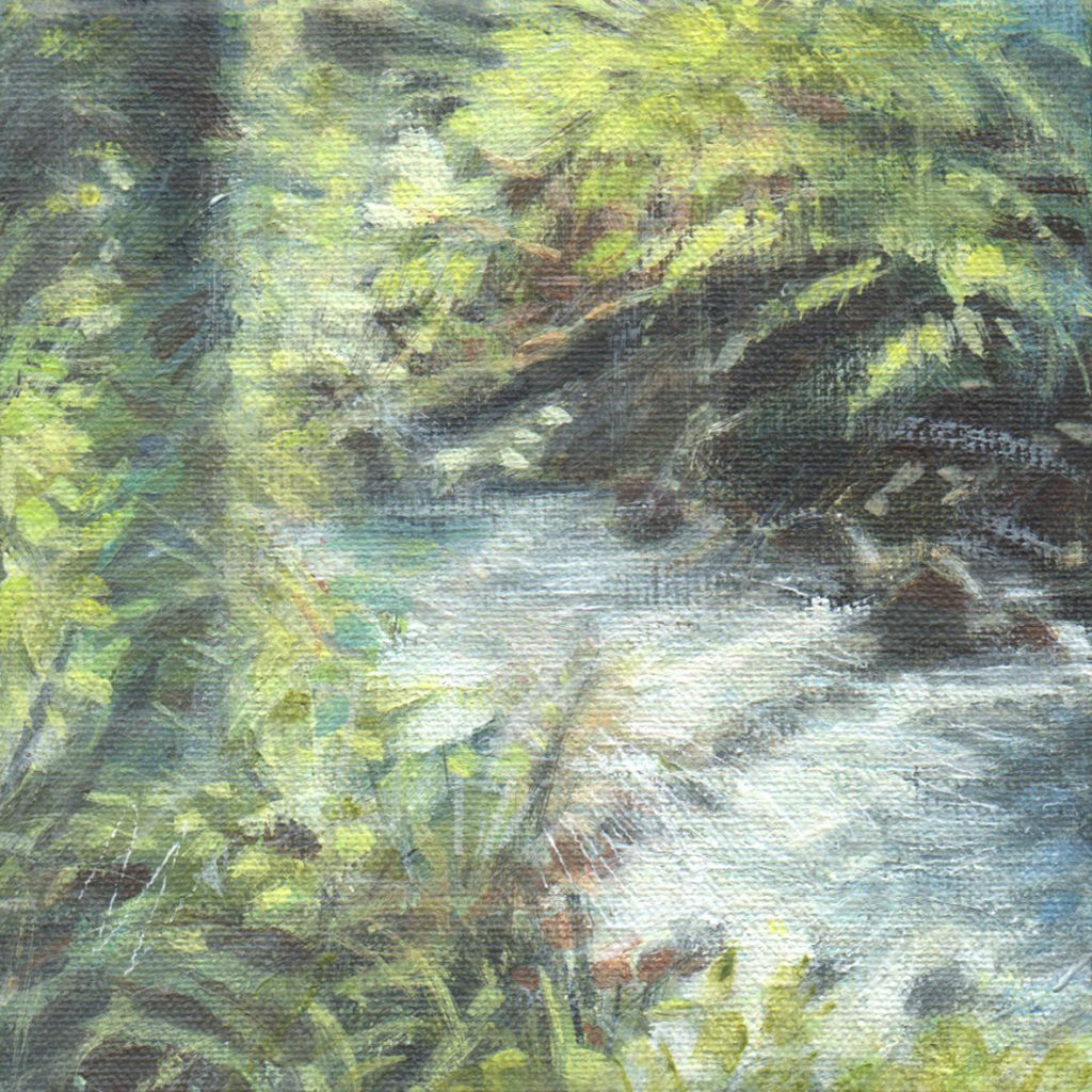 Artist residency with Dorset Wildlife Trust and SWLA