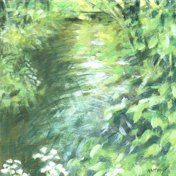 The Natural Eye 2017 – 54th Annual Exhibition
