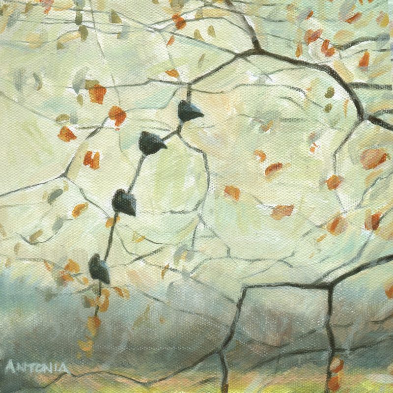 Kingcombe - twirling twigs of winter - Image 2