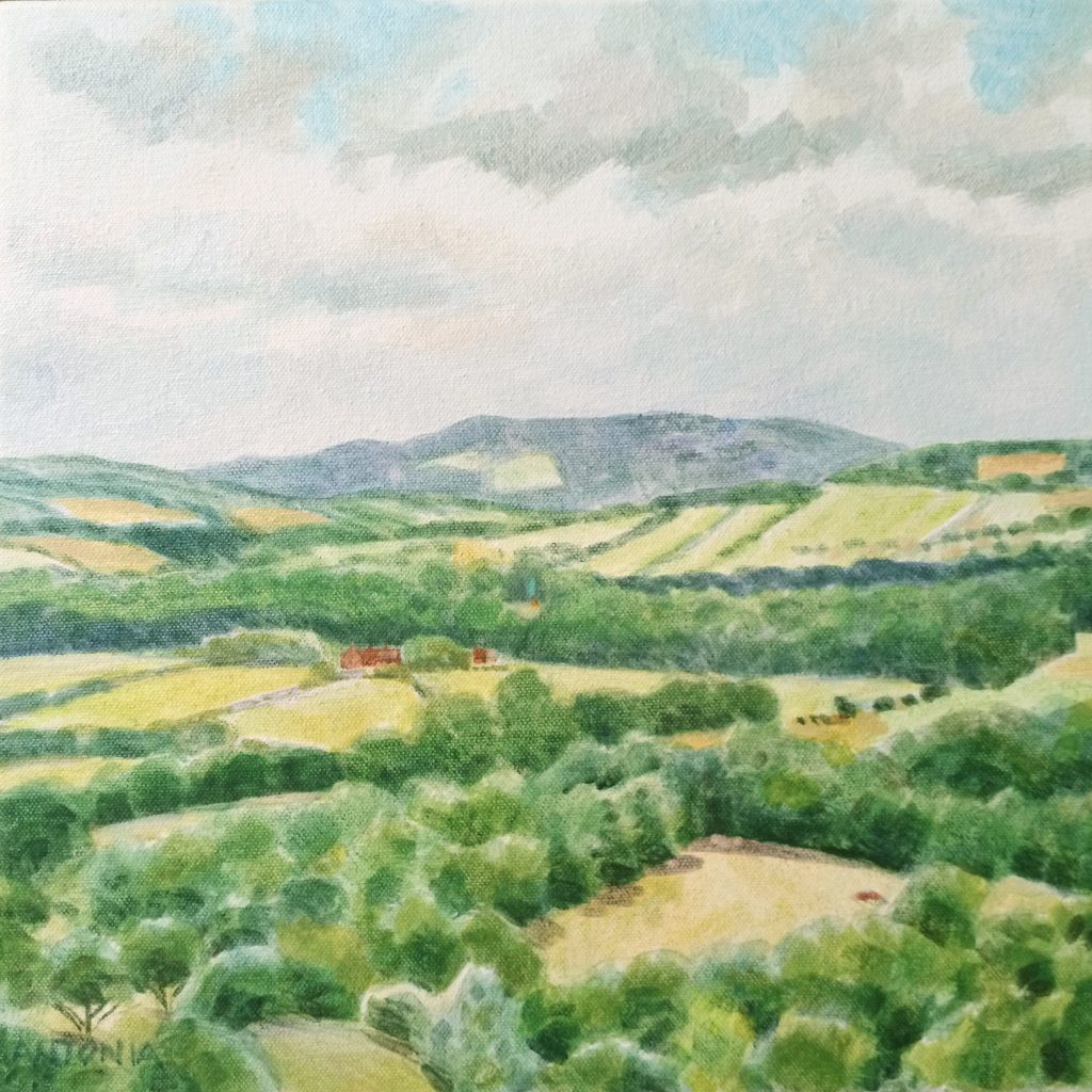 South Downs - near Duncton