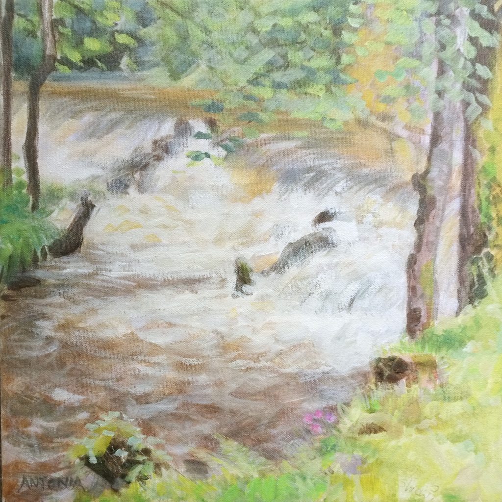 Exmoor - The Weir, Bridgetown