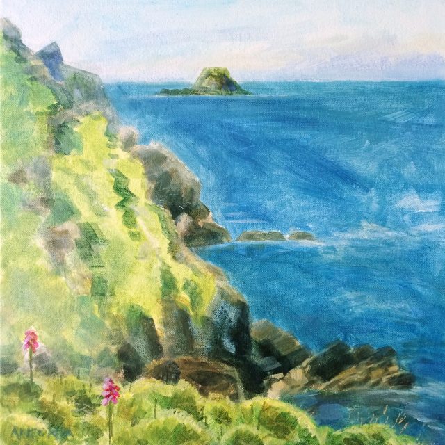 Pembrokeshire Coast Path - nr Marloes