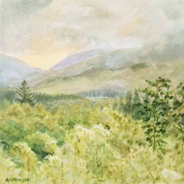 Snowdonia - towards Mt Snowdon