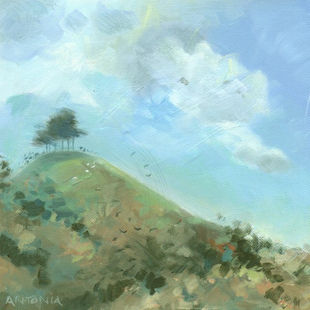 Crowflight at Colmer's Hill