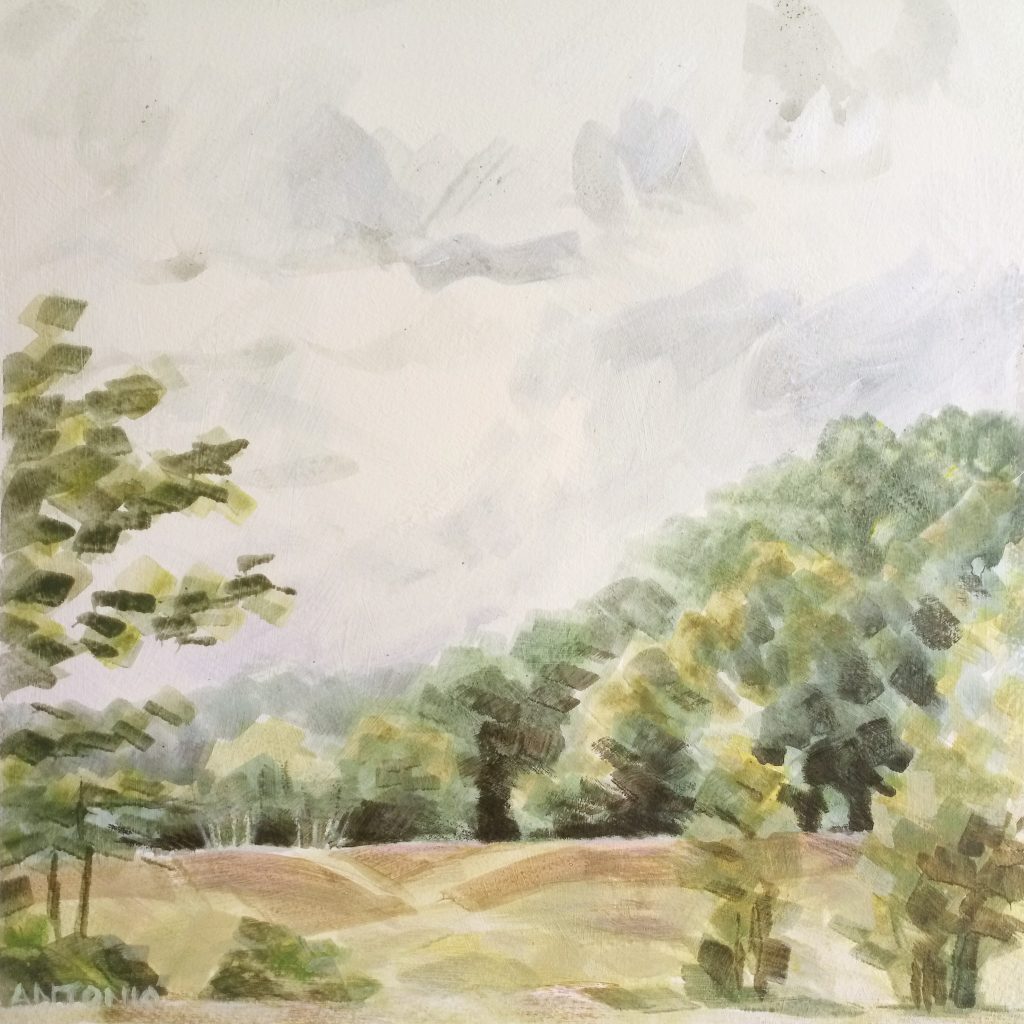 New Forest - Waiting for Horses