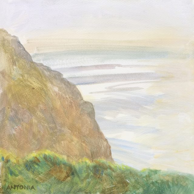 Pembrokeshire Coast - West Hook Fm eve