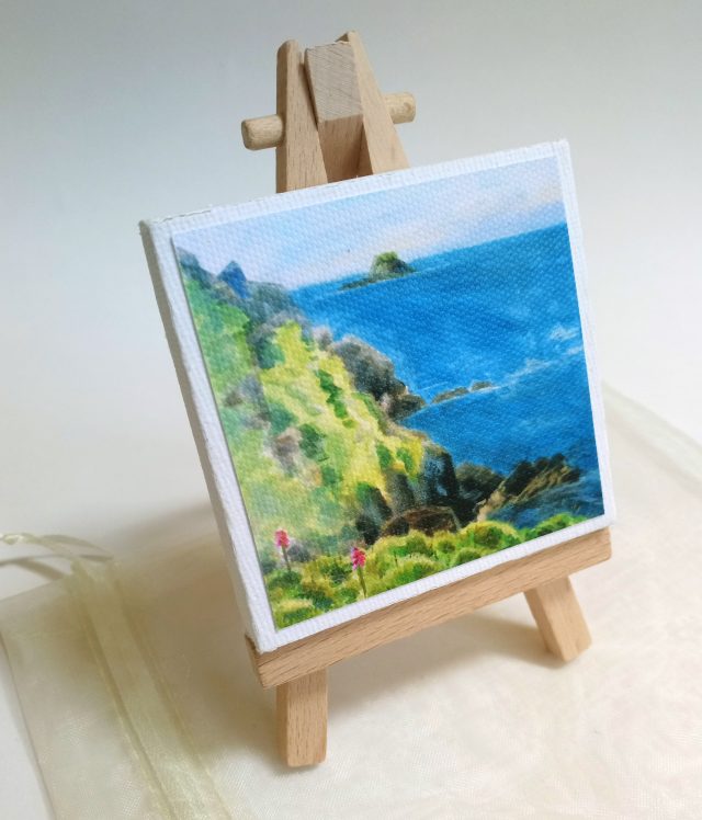 Mini Park - near Marloes - Pembrokeshire Coast