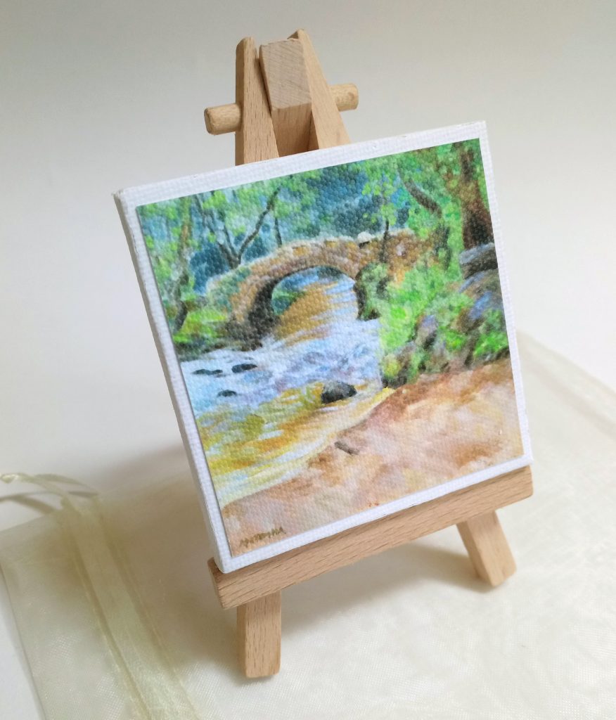 Mini Park - by Hisley Bridge, Lustleigh - Dartmoor