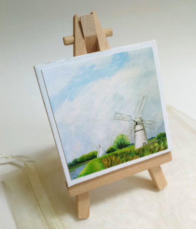 Mini Park - Thurne Mill - The Broads