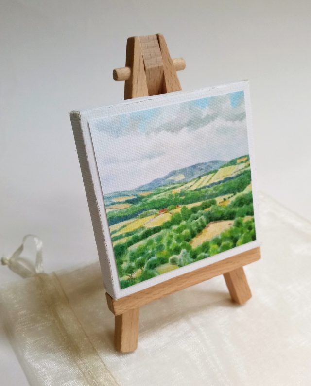 Mini Park - South Downs Way views