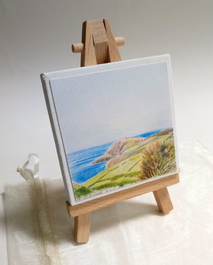 Mini Park - St David's Head - Pembrokeshire Coast