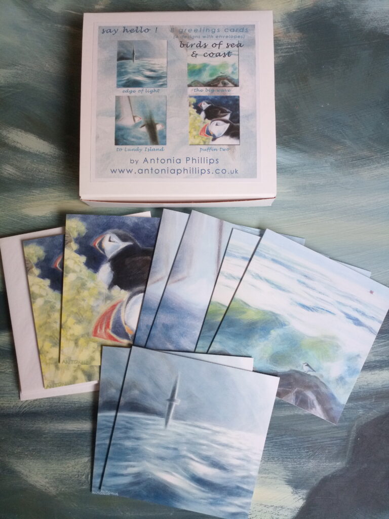 Say Hello ! - with a Birds of Sea & Coast Card Box - Image 3