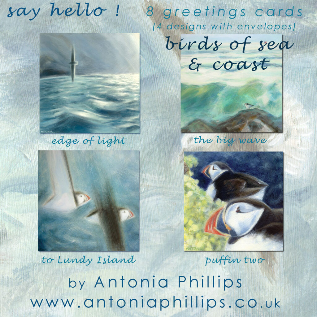Say Hello ! - with a Birds of Sea & Coast Card Box