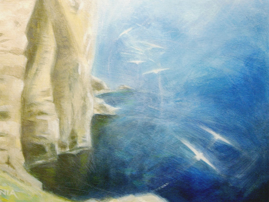 Purbeck coast by Dancing Ledge - Image 2
