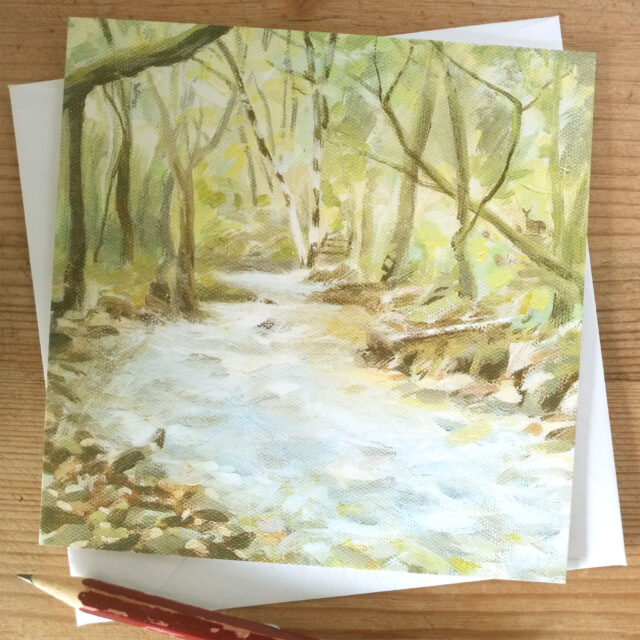 Woodland - at Becka Brook Dartmoor