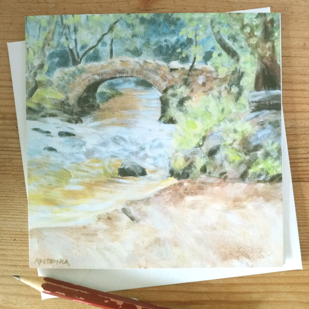 Dartmoor - by Hisley Bridge Lustleigh