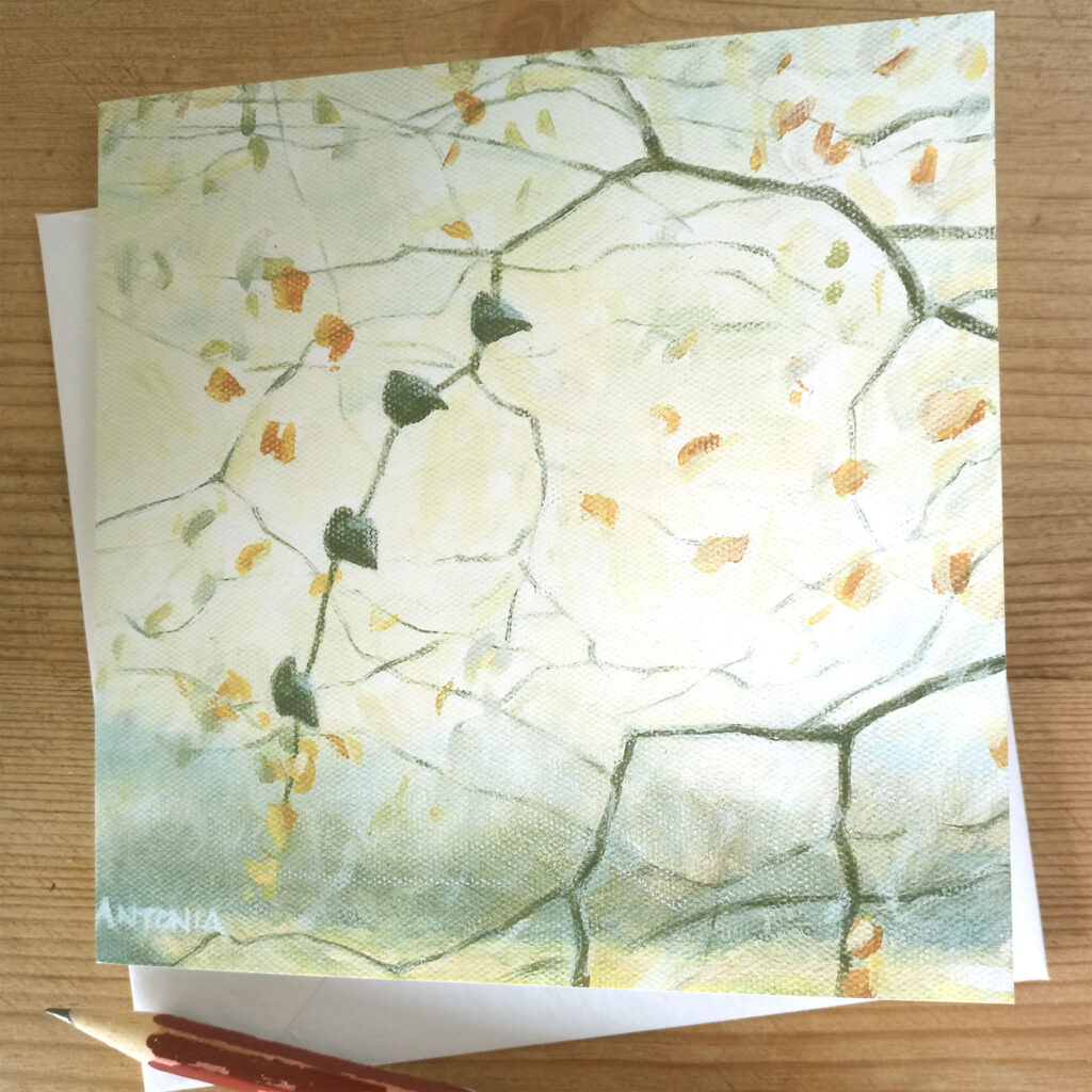 Kingcombe - twirling twigs of winter