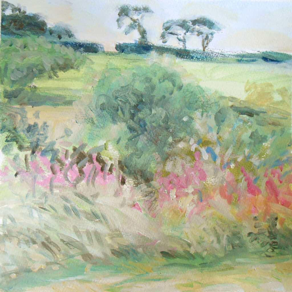 Sid Valley - beyond the Willowherb - Image 2