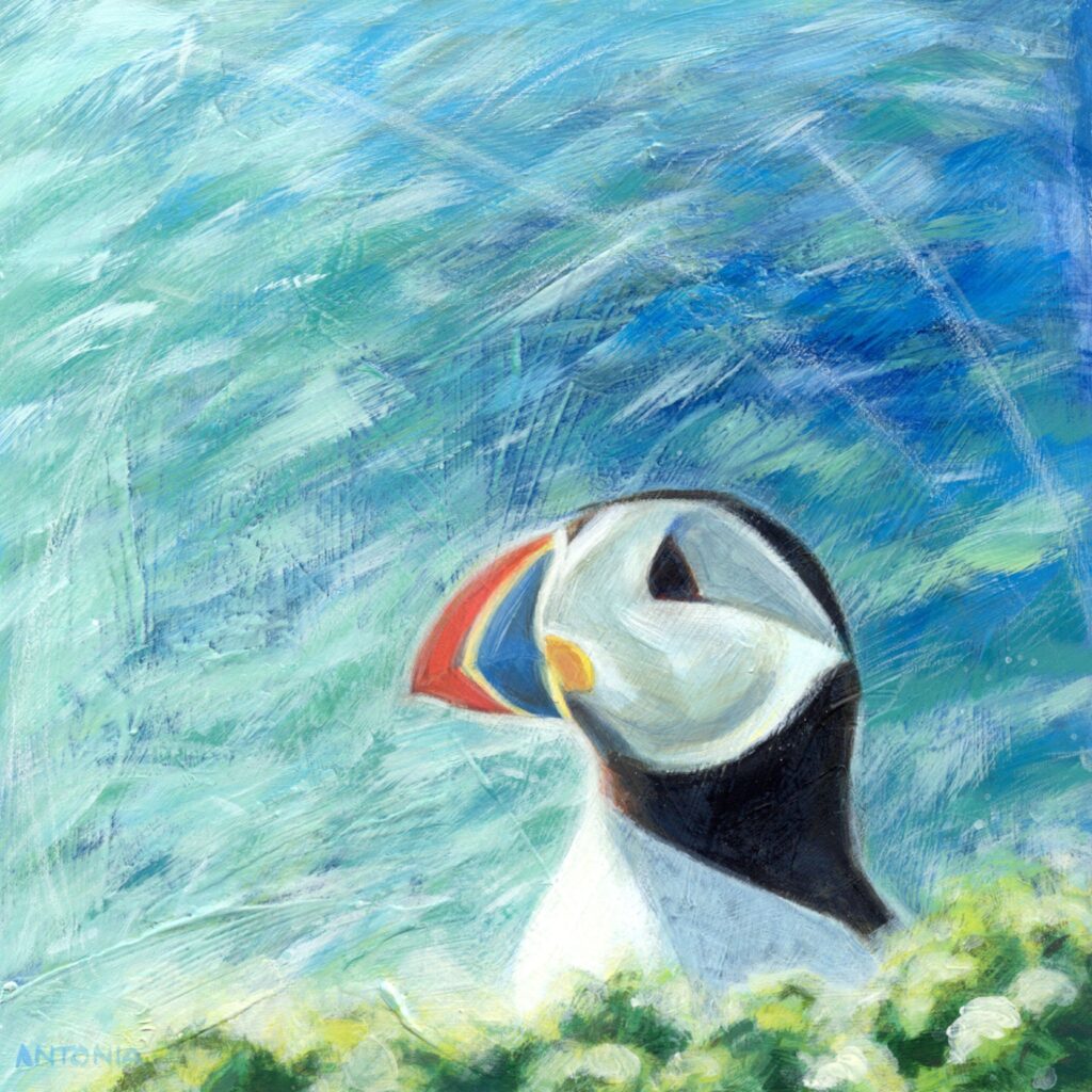 I'm a Puffin, Can I Help?